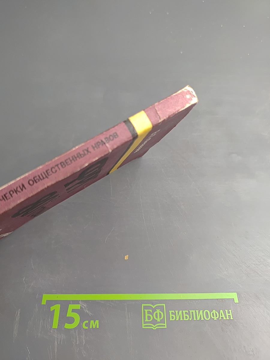 ФРГ: 80-е годы. Очерки общественных нравов