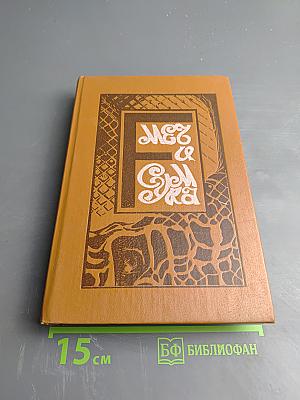 Меч и Сумка