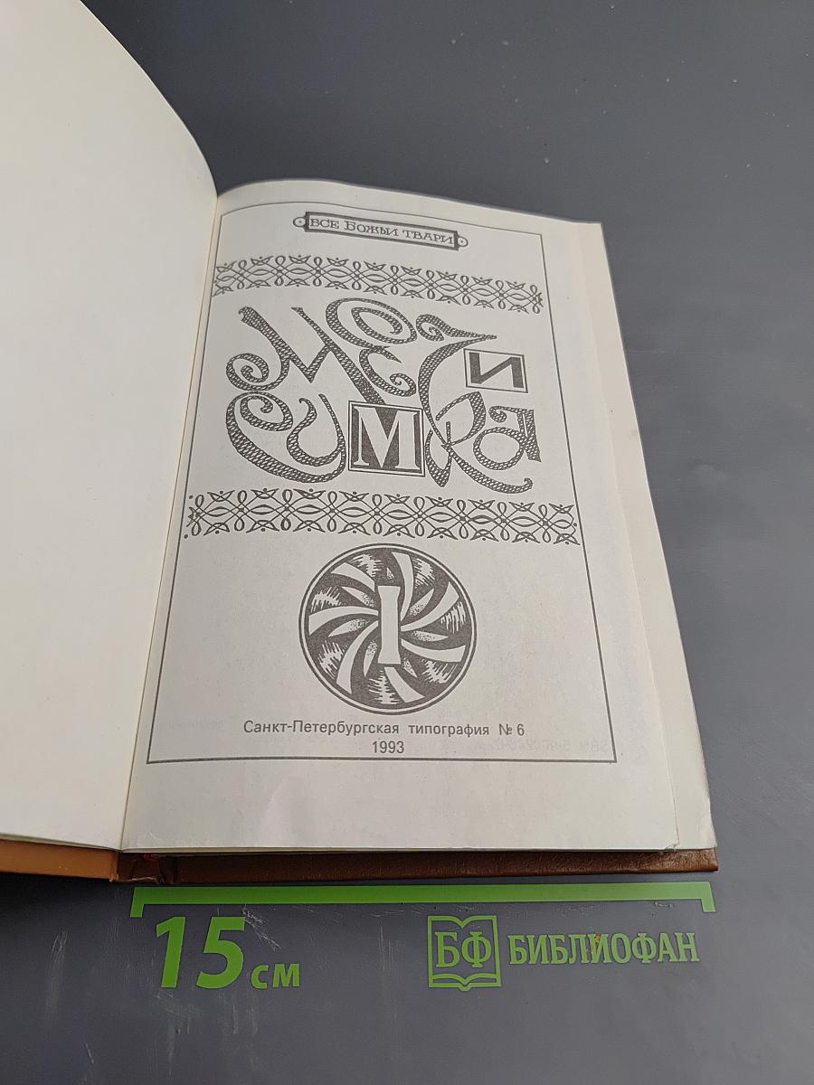 Меч и Сумка