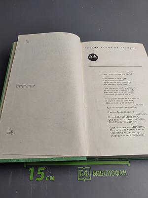 Избранное в двух томах. Том 2