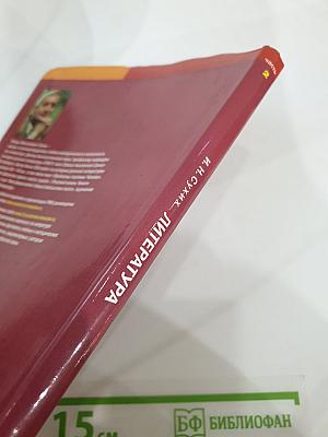 Литература. Учебник для 9 класса. Часть 2
