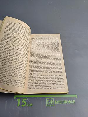 The heart is a lonely hunter