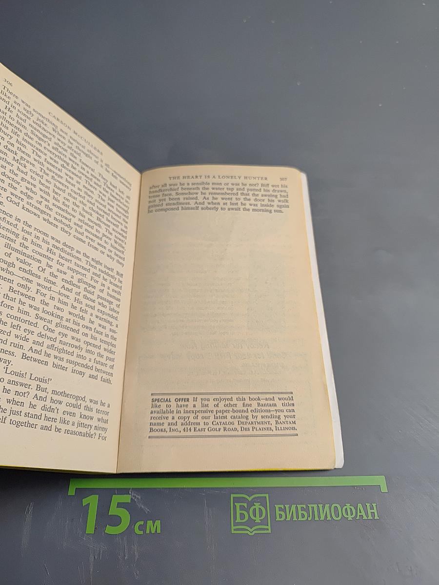 The heart is a lonely hunter