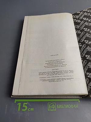 Святая ночь