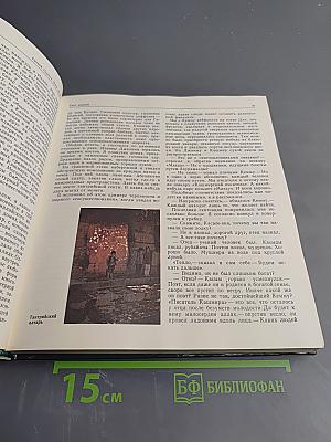 Боги лотоса