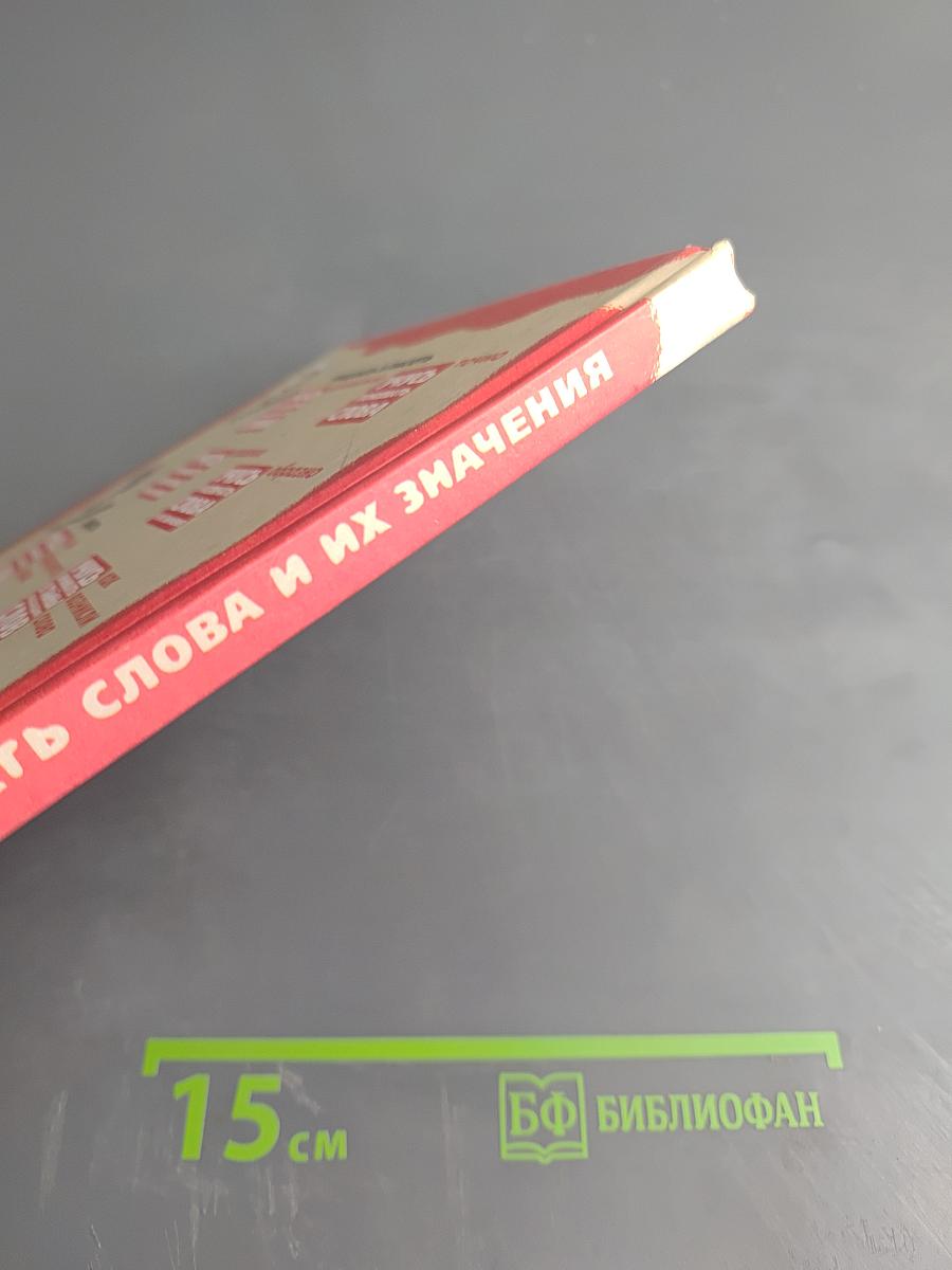 Учусь различать слова и их значения. Мой первый словарик русского языка А-Я