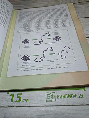 Биология 9 класс