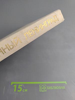 Непокоренный Ленинград. Краткий очерк истории города в период Великой Отечественной войны