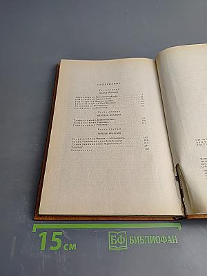 Черный консул