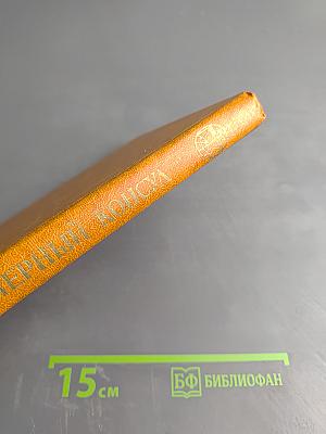 Черный консул