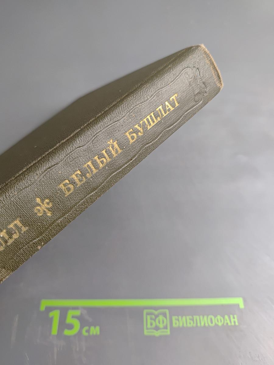 Белый бушлат