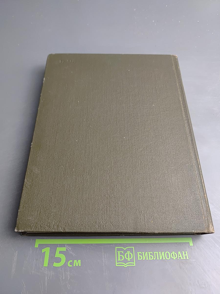 Белый бушлат