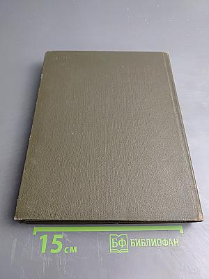 Белый бушлат