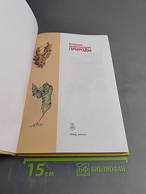 Большая энциклопедия природы. Том 5: Жизнь растений. Водоросли. Лишайники. Мхи