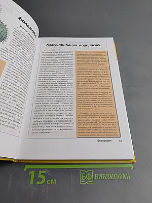 Большая энциклопедия природы. Том 5: Жизнь растений. Водоросли. Лишайники. Мхи