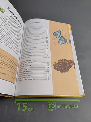 Большая энциклопедия природы. Том 5: Жизнь растений. Водоросли. Лишайники. Мхи