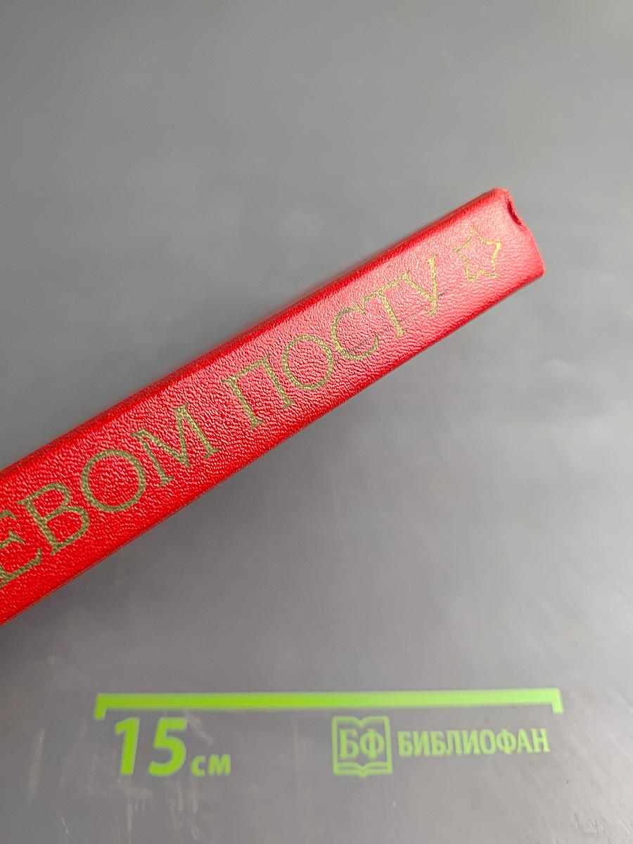 На боевом посту