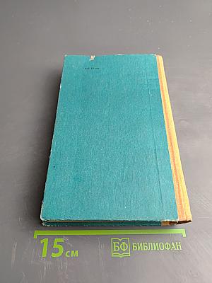 Моя жизнь дома и в Ясной Поляне