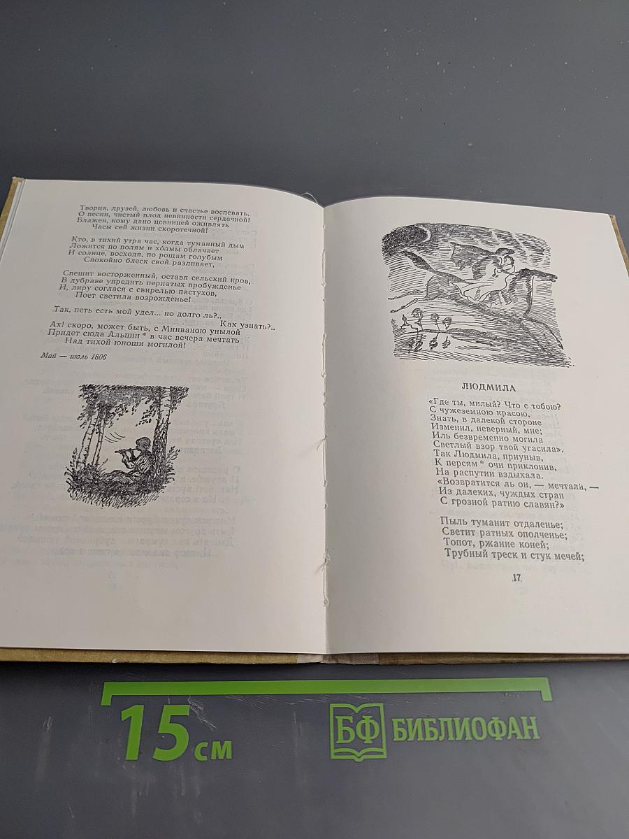 Стихотворения и баллады