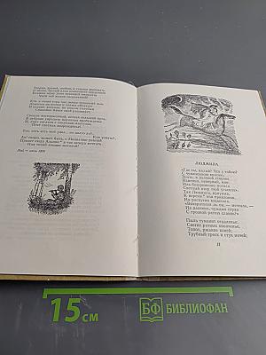 Стихотворения и баллады