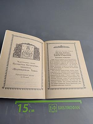 Как помочь страдающим от недуга пьянства и наркомании