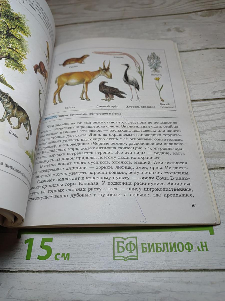 Биология 5 класс