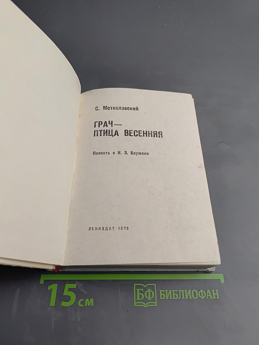 Грач — птица весенняя