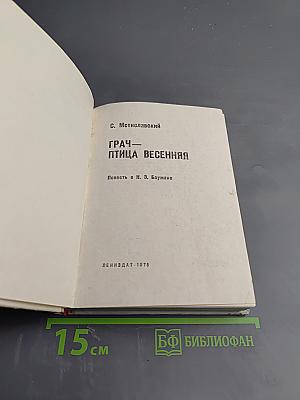 Грач — птица весенняя