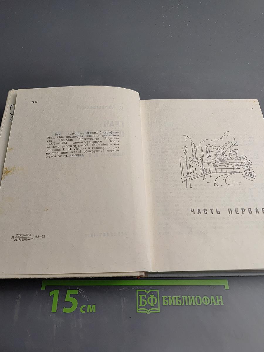 Грач — птица весенняя