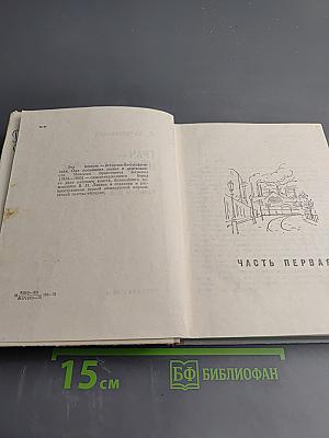 Грач — птица весенняя