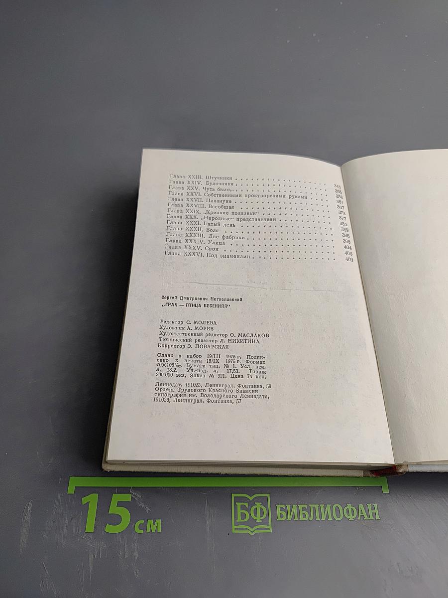 Грач — птица весенняя