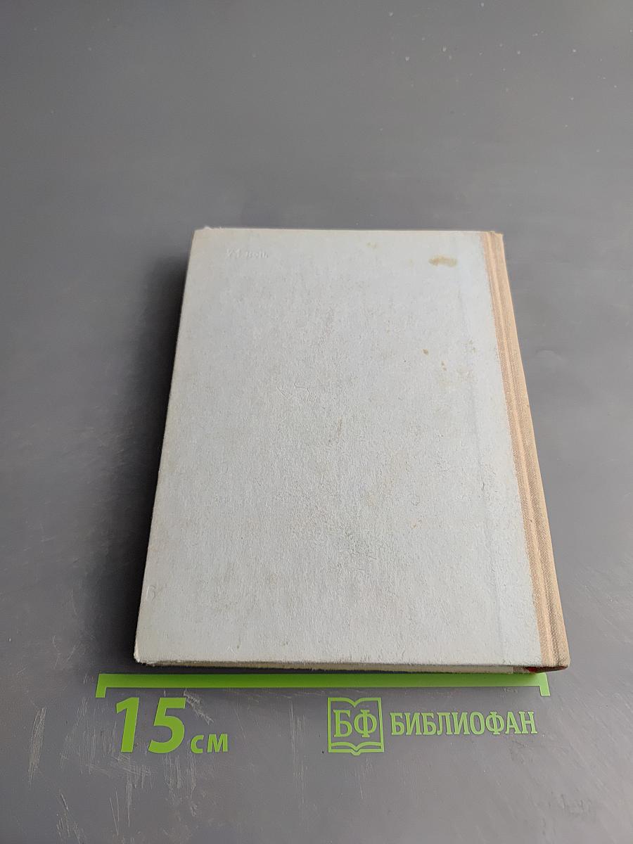 Грач — птица весенняя