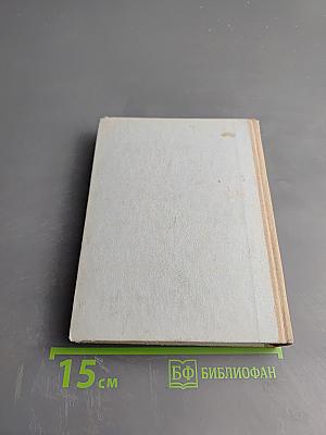 Грач — птица весенняя