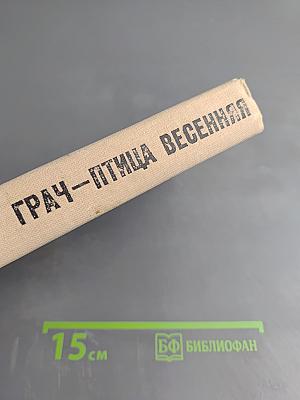 Грач — птица весенняя