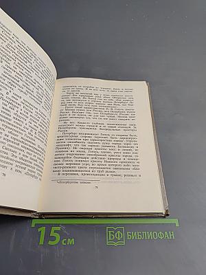 Душа Петербурга