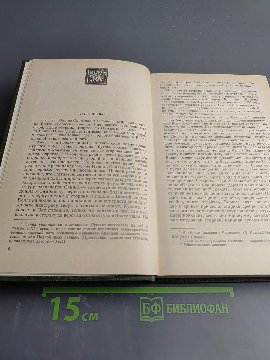 На Горах. Книга первая