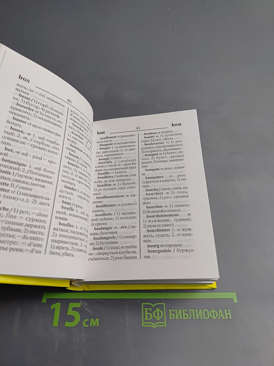 Школьный французско-русский и русско-французский словарь