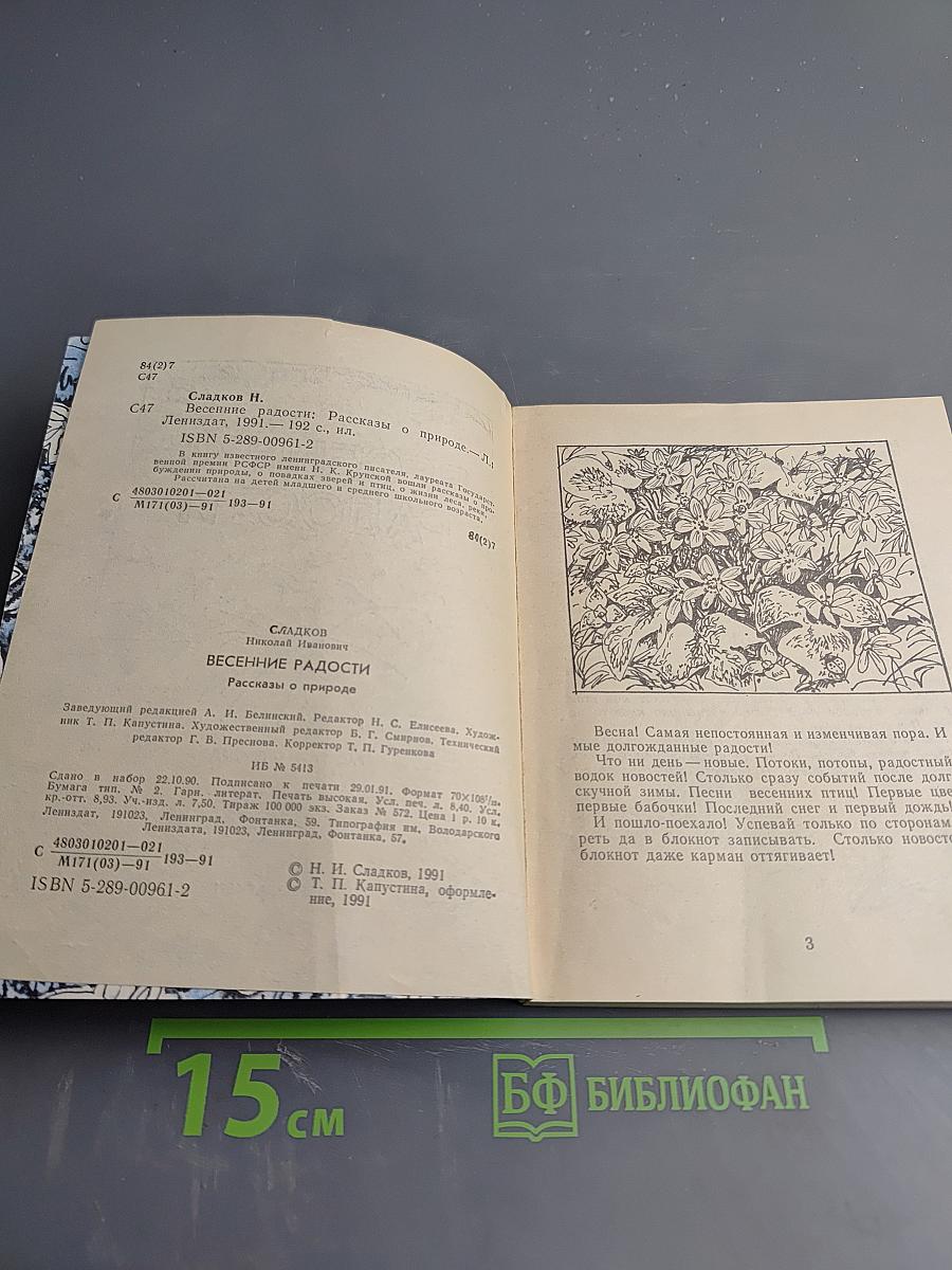 Весенние радости