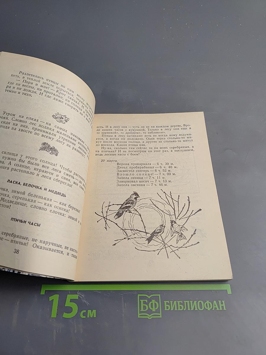 Весенние радости