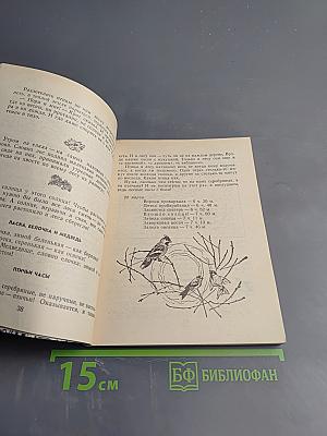 Весенние радости