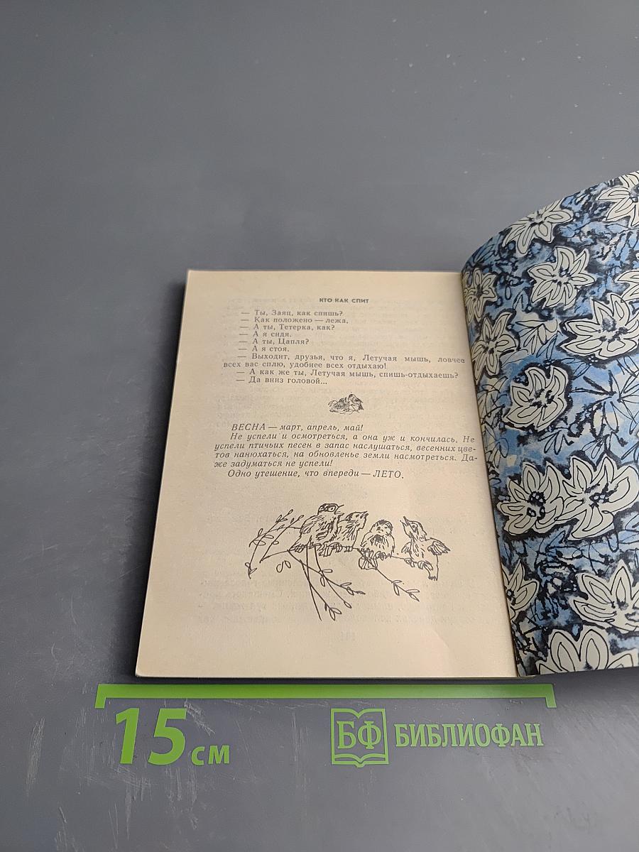 Весенние радости