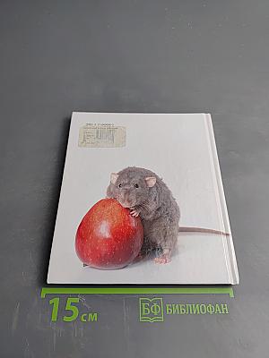 Будь счастлив!