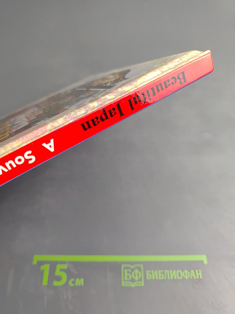 Beautiful Japan: A Souvenir