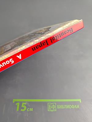 Beautiful Japan: A Souvenir