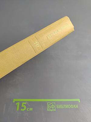 Повести и рассказы 1872-1903. Собрание сочинений. Том десятый