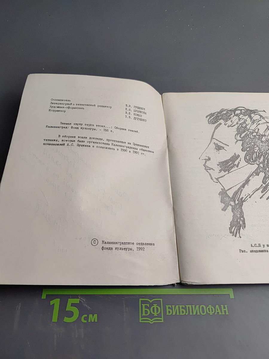 Внимая звуку, струн твоих... Сборник статей