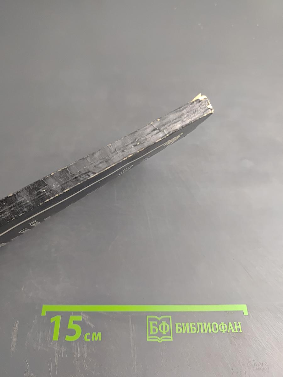 Путешествие через эпохи. Мемуары графа Калиостро и записи его бесед с Аристотелем, Данте, Пушкиным, Эйнштейном и многими другими современниками