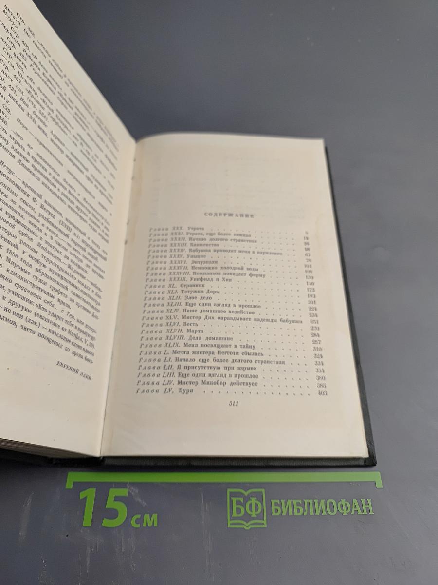 Жизнь Дэвида Копперфилда, рассказанная им самим (Том Шестнадцатый)
