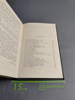 Жизнь Дэвида Копперфилда, рассказанная им самим (Том Шестнадцатый)