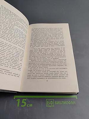 Жизнь Дэвида Копперфилда, рассказанная им самим (Том Шестнадцатый)